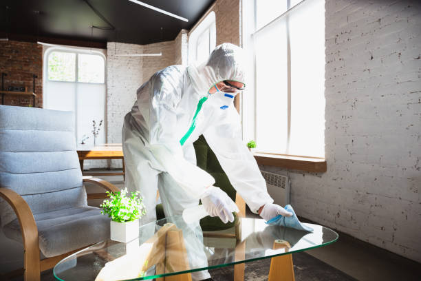 Why You Should Choose Our Mold Remediation Services in Red Bank, SC